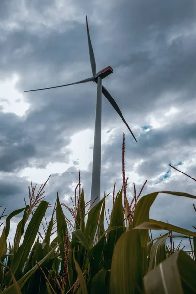 Windmills Electric Power Production Field Corn — Stock Photo, Image