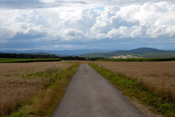 Kırsalda bir buğday tarlasının yanında küçük bir yol.
