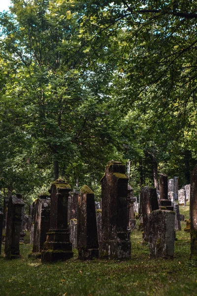 Alter Verlassener Jüdischer Friedhof Wald — Stockfoto
