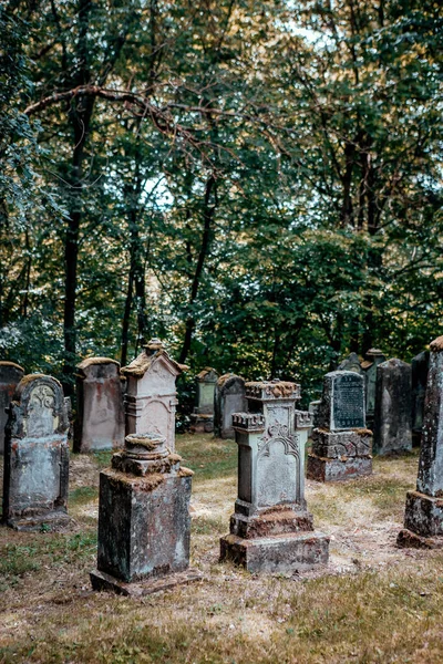 Stary Opuszczony Żydowski Cmentarz Lesie — Zdjęcie stockowe