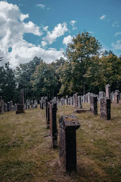 Alter Verlassener Jüdischer Friedhof Wald — Stockfoto