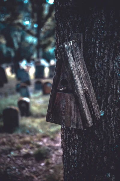 Παλιό Ξύλινο Σπιτάκι Ένα Δέντρο Στο Νεκροταφείο — Φωτογραφία Αρχείου