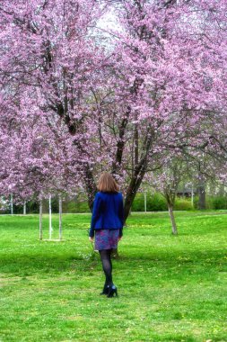 Genç esmer kadın parkta kiraz ağacı çiçeklerinin altında yürüyor.