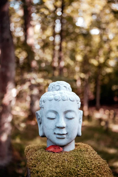 자연에 Buddha 헤드의 — 스톡 사진