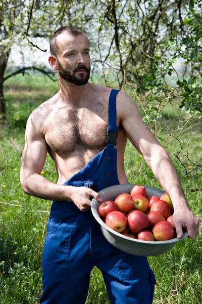 Bahçede Bir Kase Elmayla Duran Kaslı Üstsüz Adam — Stok fotoğraf