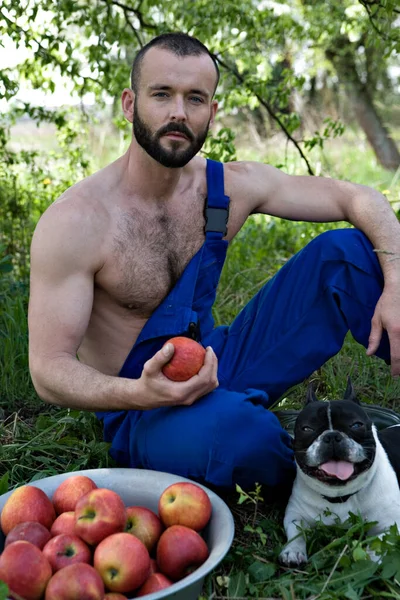Bahçede Bir Kase Elma Köpeğiyle Oturan Kaslı Üstsüz Adam — Stok fotoğraf