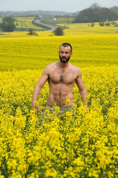 Portrait Muscular Shirtless Man Standing Canola Field — Stock Photo, Image