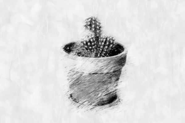 Pot Met Cactus Een Potlood Tekenstijl — Stockfoto