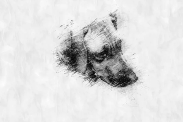 Портрет Милої Собаки Стилі Малювання Олівцем — стокове фото