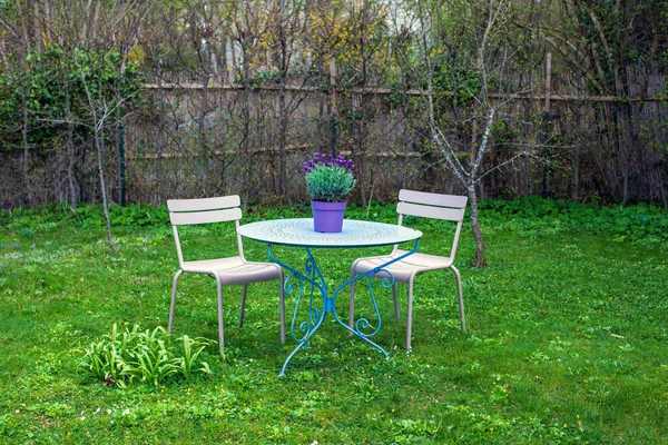 Tavolo Con Lavanda Due Sedie Giardino Prato Verde — Foto Stock