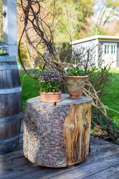 Blomma Krukor Ett Träd Stubbe Trä Terrass Och Trädgård — Stockfoto