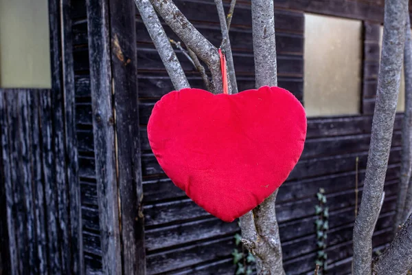 Grande Coração Pelúcia Vermelho Pendurado Uma Árvore Frente Celeiro — Fotografia de Stock