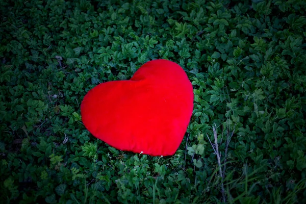 Big Red Heart Lying Outdoors Green Plants — Stock Photo, Image