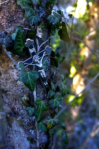 Closeup Cross Hanging Tree — Stock Photo, Image