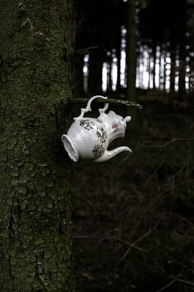 Alte Antike Teekanne Hängt Wald Ast — Stockfoto