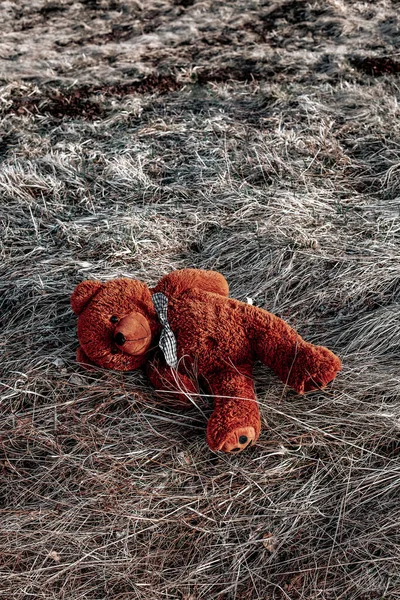 Μεγάλο Καφέ Αρκουδάκι Ξαπλωμένο Εγκαταλελειμμένο Στο Πάτωμα Έξω — Φωτογραφία Αρχείου