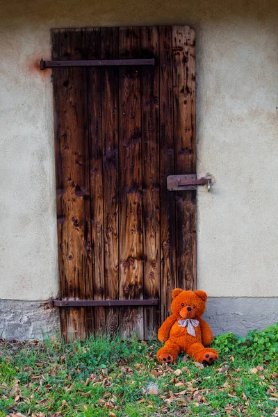 big brown teddy bear sitting in front of an old wooden door outside