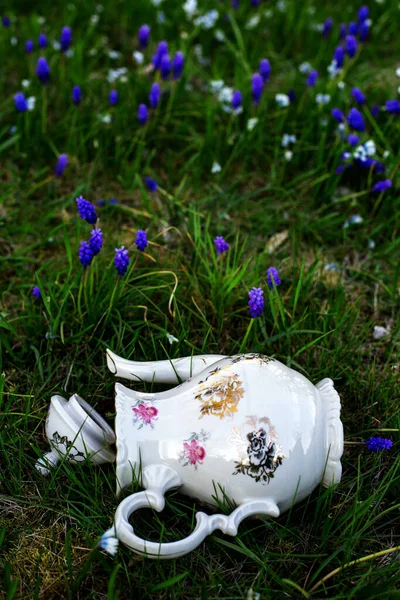 Old Antique Teapot Lying Grass Flowerbed — Stock Photo, Image