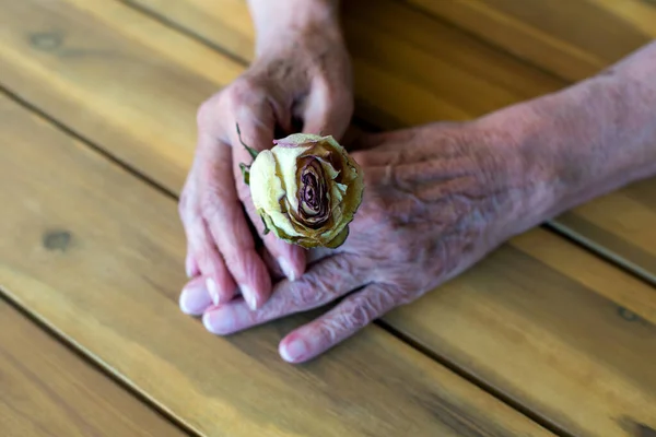 Nahaufnahme Einer Alten Frauenhand Die Eine Getrocknete Gelbe Rose Hält — Stockfoto