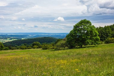 tarlaların panoramik görüntüsü ve kır çiçekleriyle dolu çayır
