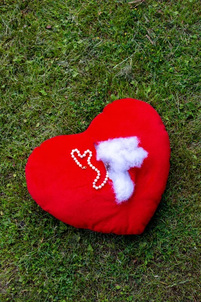 Vermelho Rasgado Recheado Coração Com Jóias Deitado Grama — Fotografia de Stock
