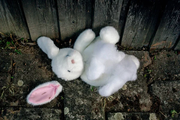 Boneka Kelinci Putih Yang Manis Tergeletak Hancur Lantai — Stok Foto