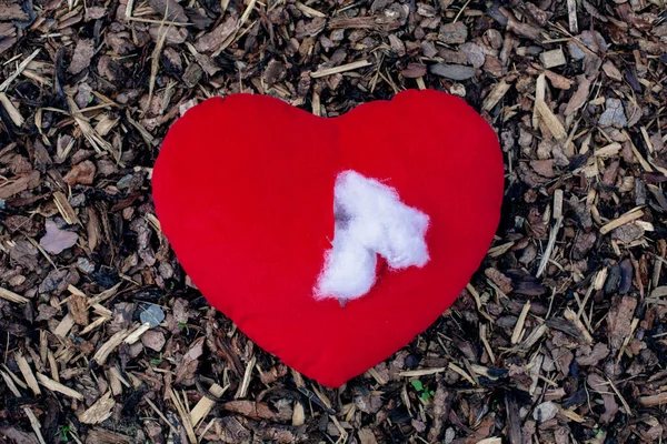 Vermelho Rasgado Recheado Coração Deitado Chão — Fotografia de Stock