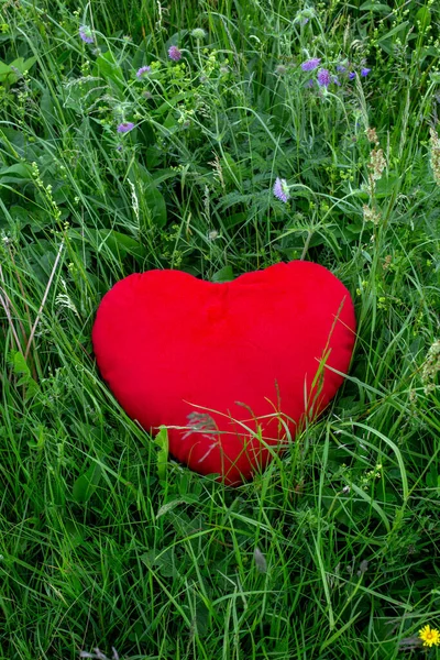 Coração Macio Recheado Vermelho Deitado Campo Flores Verde — Fotografia de Stock