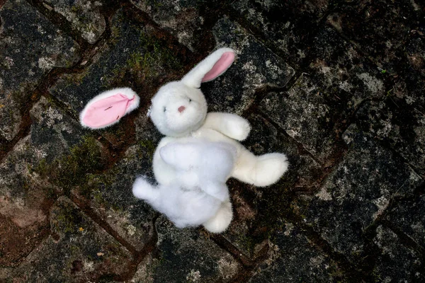 Прелестный Плюшевый Белый Кролик Лежит Уничтоженный Полу — стоковое фото