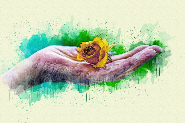 Close Old Hand Holding Yellow Rose Watercolor Style — Fotografia de Stock