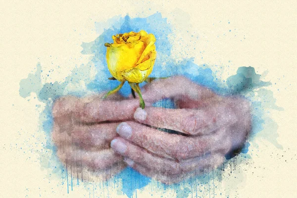 Old Womans Hand Holding Yellow Rose Watercolor Style — Fotografia de Stock