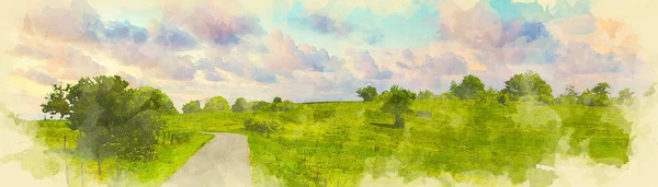 Panoramic View Green Fields Trees Watercolor Style — Fotografia de Stock