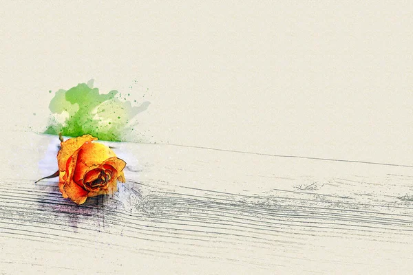 Yellow Rose Wooden Plank Watercolor Style — 스톡 사진