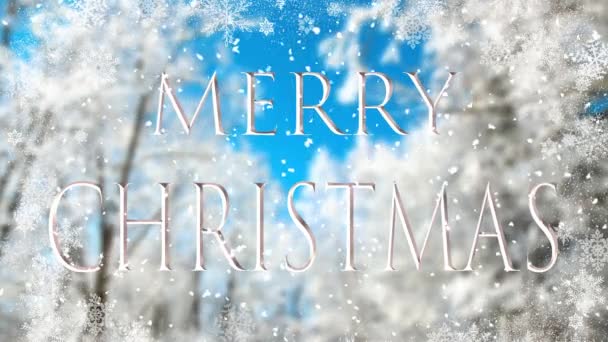 Cinemagraph Merry Christmas Snowy Landscape Background — Stock video