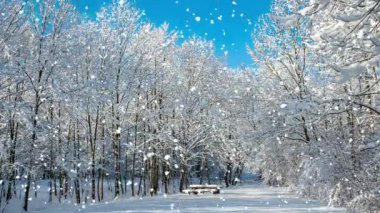 Cinemagraph of snowy forest with a bench