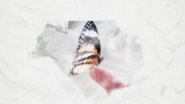 Cinemagraph Butterfly Sitting Finger Watercolor Style — Stock video