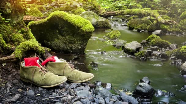 Cinemagraph Shoes Socks Next River Mossy Stones — Stock Video