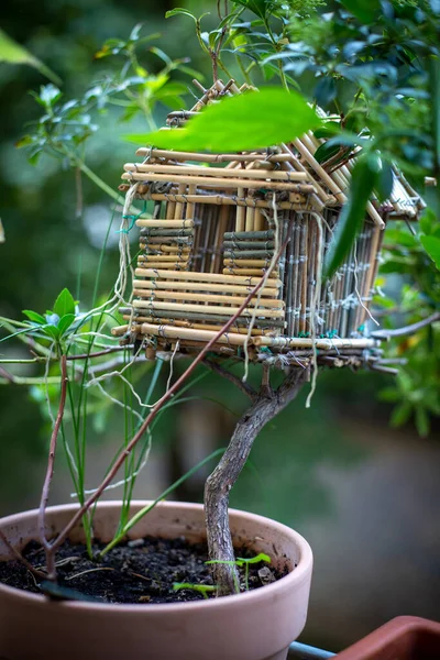 Close Flower Pot Birdhouse Balcony — Stock Photo, Image