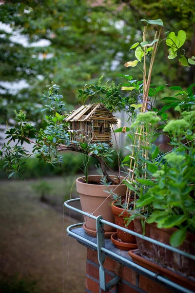 绿色阳台上的花盆和鸟舍的特写 — 图库照片