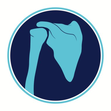 Omuz Eklem Anatomisi. İskelet kemik yapısı. Tıp eğitimi. Vektör