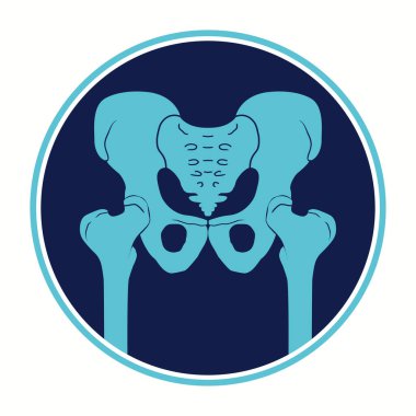 Pelvis ikonu. Kalça eklemi insan iskeletinin yapısı. Pelvik korse ve kalçalar. Tıbbi ayrıntılı illüstrasyon. Vektör Silueti