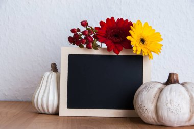 Siyah tahta, beyaz balkabağı, sarı ve kırmızı çiçekler. Metin için alanı kopyala.