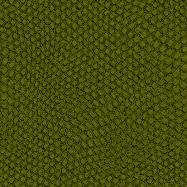  Timsah derisi dokusu. Timsah desensiz, yeşil sürüngen vahşi tropikal hayvan. Timsah desenli deri çizimi, doku arka plan yılan derisi veya timsah derisi