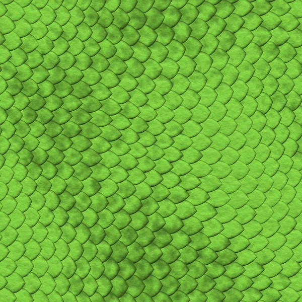 Textura Pele Jacaré Padrão Crocodilo Sem Costura Réptil Sulcado Escalas — Fotografia de Stock