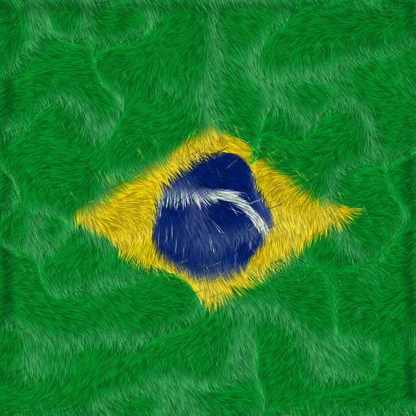 Brazil Lawn Texture Compo Football Lobogó — Stock Fotó