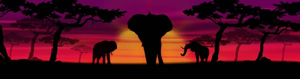 Illustrazione Savana Con Tramonto Elefanti Sulla Scena — Foto Stock