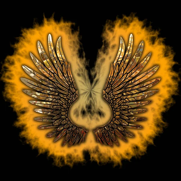 Beautiful Angel Wings Black Background Stockafbeelding