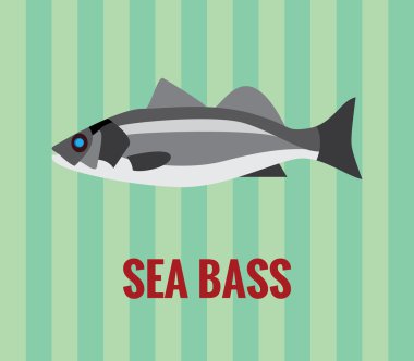 levrek - yeşil renkli çizimi.