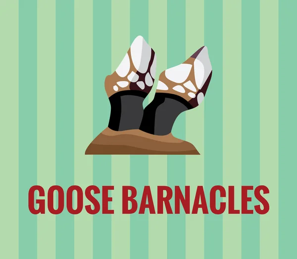 Goose-barnacles - disegno su sfondo verde . — Vettoriale Stock