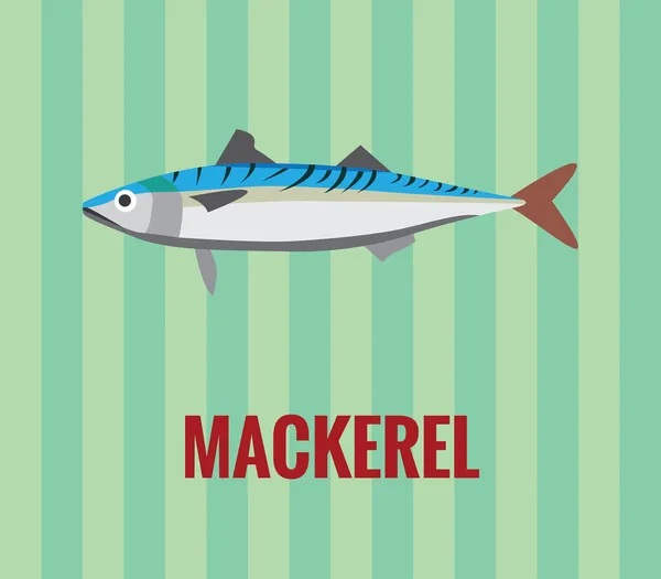 Mackerel - gambar pada latar belakang hijau . - Stok Vektor